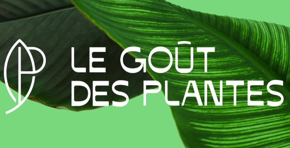 https://the-place-to-be.fr/wp-content/uploads/2021/10/le-gout-des-plantes-ventes-plantes-marseille-bordeaux-e2aec2be.jpg