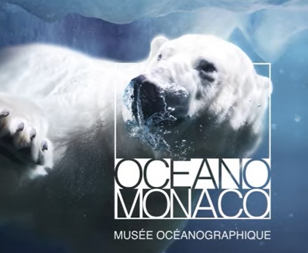 https://the-place-to-be.fr/wp-content/uploads/2022/11/billet-entree-musee-aquarium-oceanographique-monaco-nice-monte-carlo-8cda1eaf.jpg