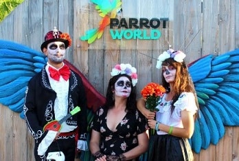 Le Parc animalier "Parrot World" fête Halloween - 77580 Crécy-la-Chapelle - Tout public