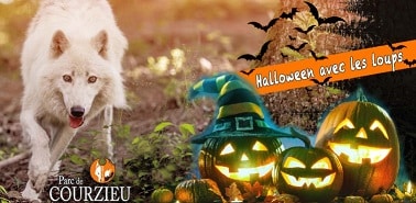 Halloween au Parc Animalier de Courzieu - 69690 Courzieu - Tout Public