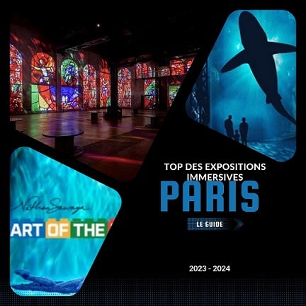 https://the-place-to-be.fr/wp-content/uploads/2023/11/top-expositions-immersives-2023-2024-Paris-le-Guide.jpg