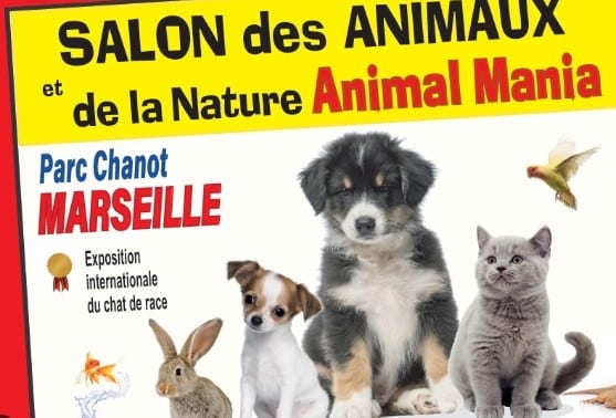 https://the-place-to-be.fr/wp-content/uploads/2023/12/salon-animaux-parc-chanot-marseille.jpg