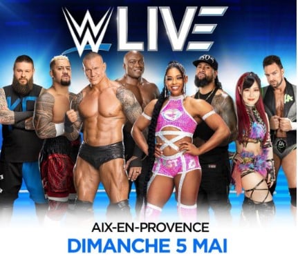 https://the-place-to-be.fr/wp-content/uploads/2024/02/match-catch-spectacle-WWE-Live-Arena-Aix-en-provence.jpg