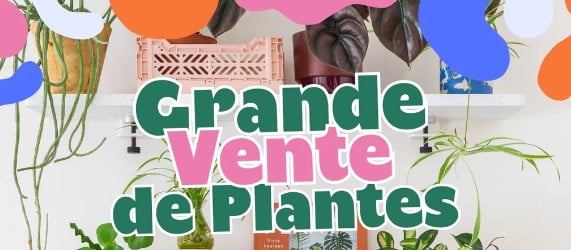 https://the-place-to-be.fr/wp-content/uploads/2024/03/grande-vente-plante-toulouse.jpg