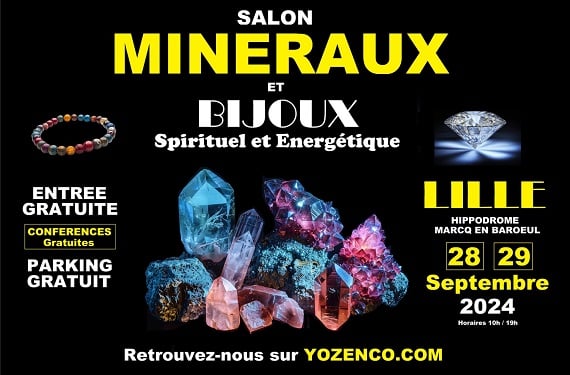 https://the-place-to-be.fr/wp-content/uploads/2024/08/salon-mineraux-hippodrome-lille-SMALL.jpg