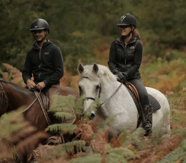 https://the-place-to-be.fr/wp-content/uploads/2026/10/balade-cheval-foret-Paris-Yveline-78.png