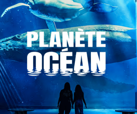 https://the-place-to-be.fr/wp-content/uploads/2026/10/expo-immersive-Atelier-lumiere-planet-ocean-Paris-Billet-entree.png