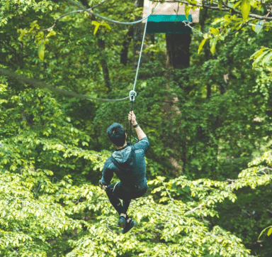 https://the-place-to-be.fr/wp-content/uploads/2026/10/parc-accrobranche-Chaville-92-pres-Paris.png